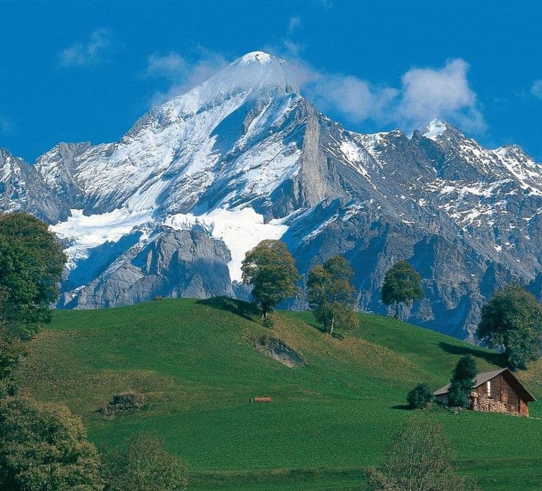 From Zürich: Interlaken and Grindelwald Day Trip by Coach