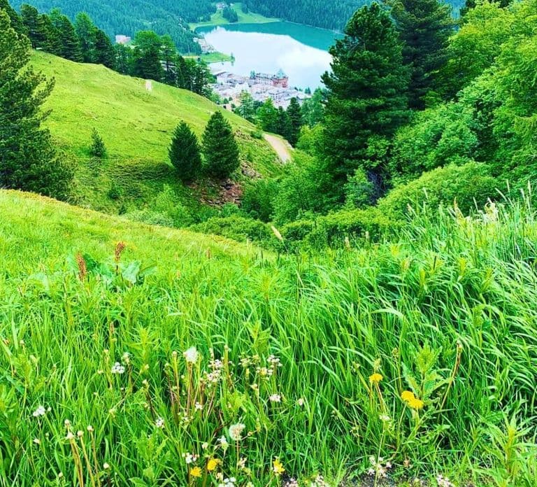 From Zurich: Private Day Trip to St. Moritz by Car