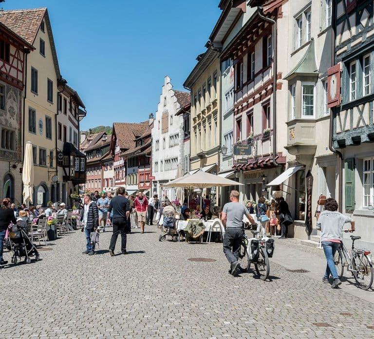 Da Zurigo: Stein am Rhein e le cascate del Reno