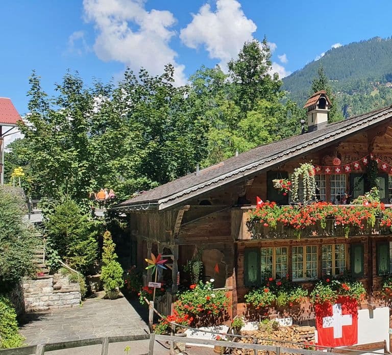 From Zurich: Waterfalls Valley & Aareschlucht Gorge Day Tour