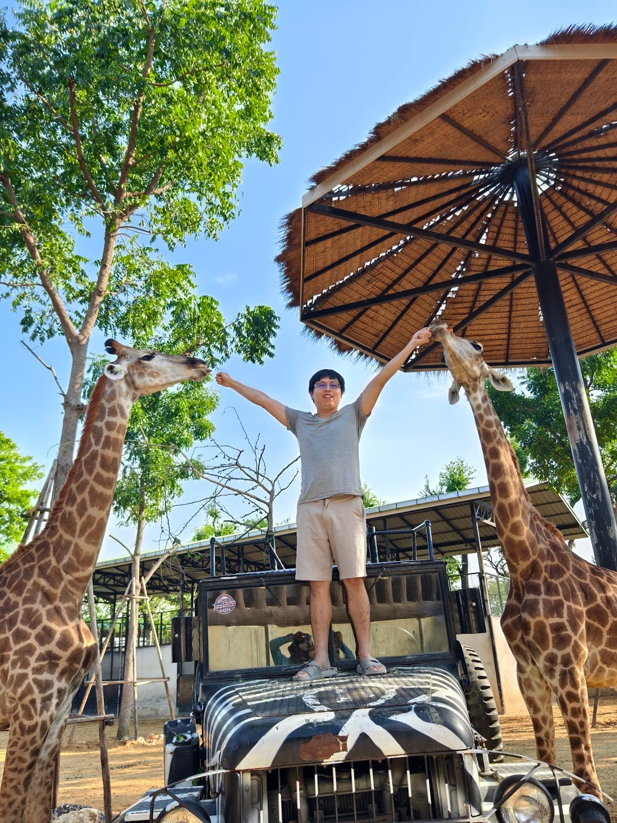 Sriayuthaya Lion Park