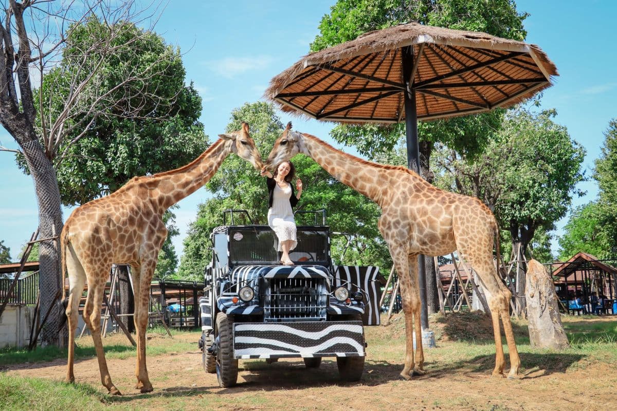 Sriayuthaya Lion Park
