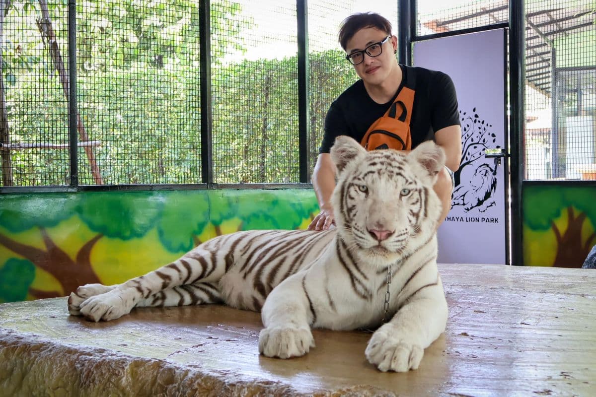 Sriayuthaya Lion Park