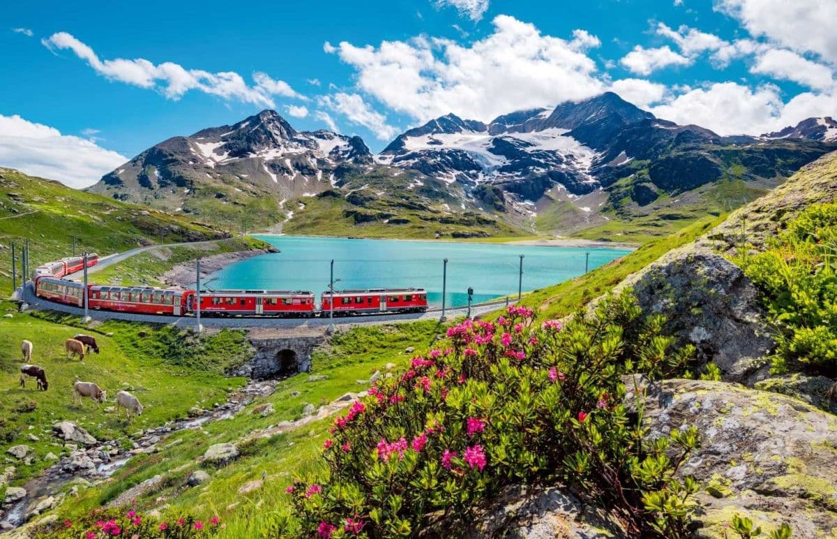 Swiss Travel Pass
