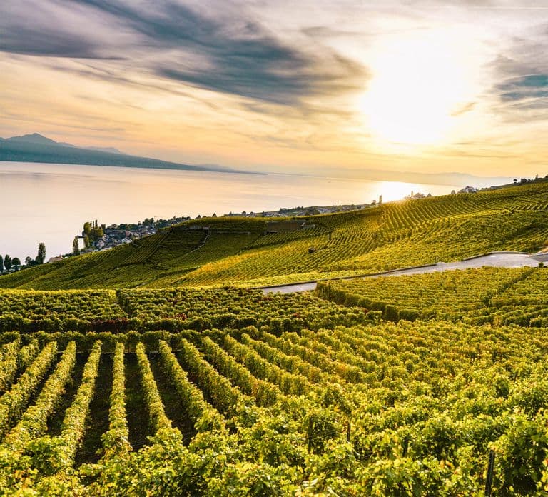 Geneva: Montreux, Chaplin’s World, Chillon Castle & Apéritif
