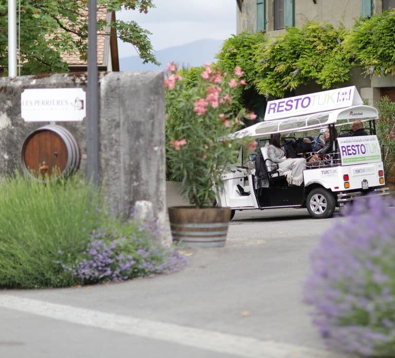 Genebra: Tour pelos Vinhedos e Degustação de Vinhos de TukTuk