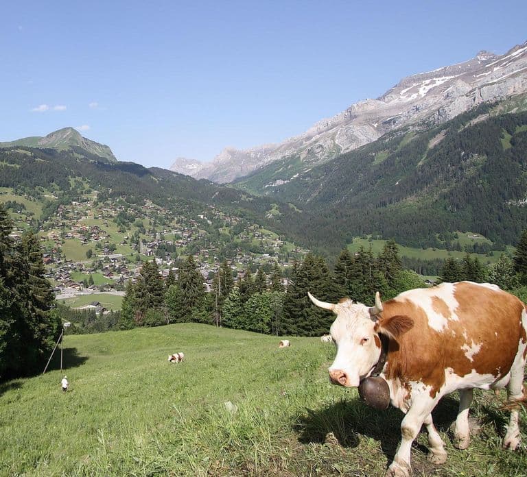 Glacier 3000: Tour privato ad alta quota