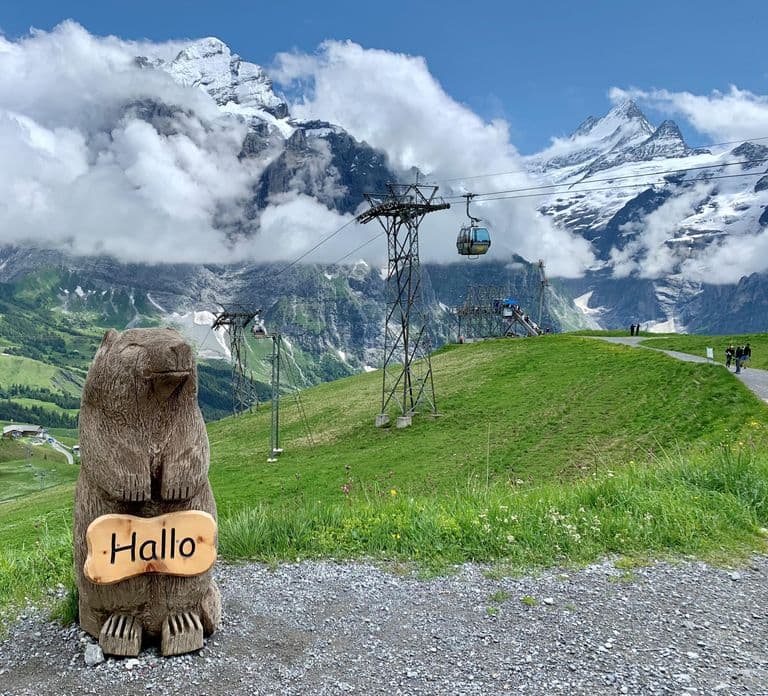 Grindelwald & First Cliff Walk Tagesausflug | Ab Zürich