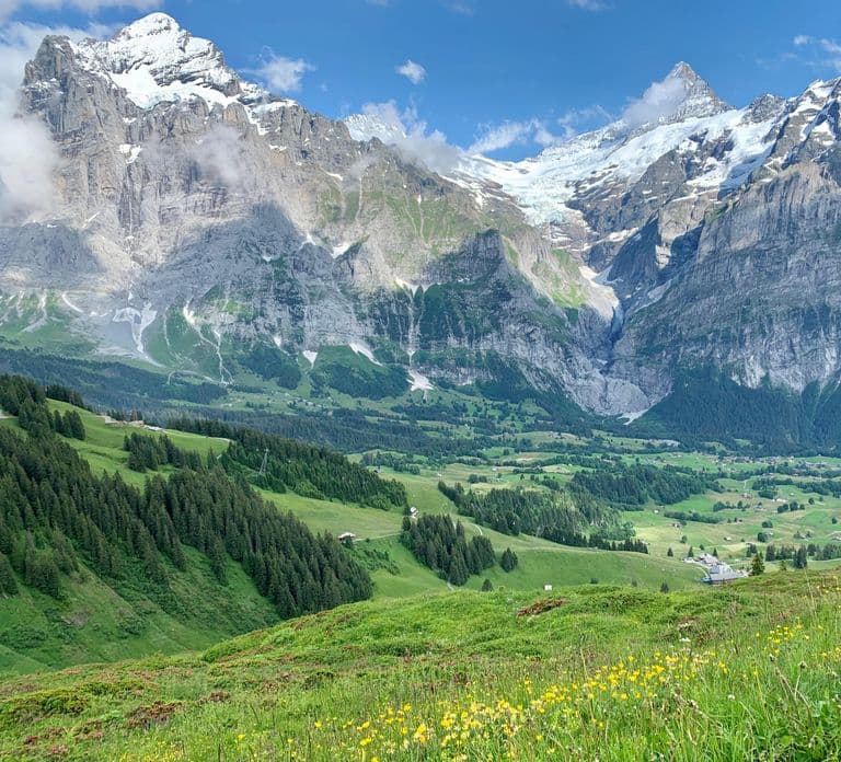 Grindelwald & First Cliff Walk Tagesausflug | Ab Zürich