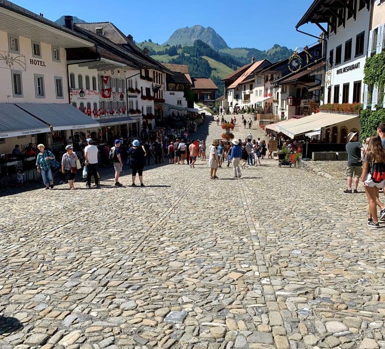 Gruyères & Lavaux Vineyard with Cheese & Wine | From Bern