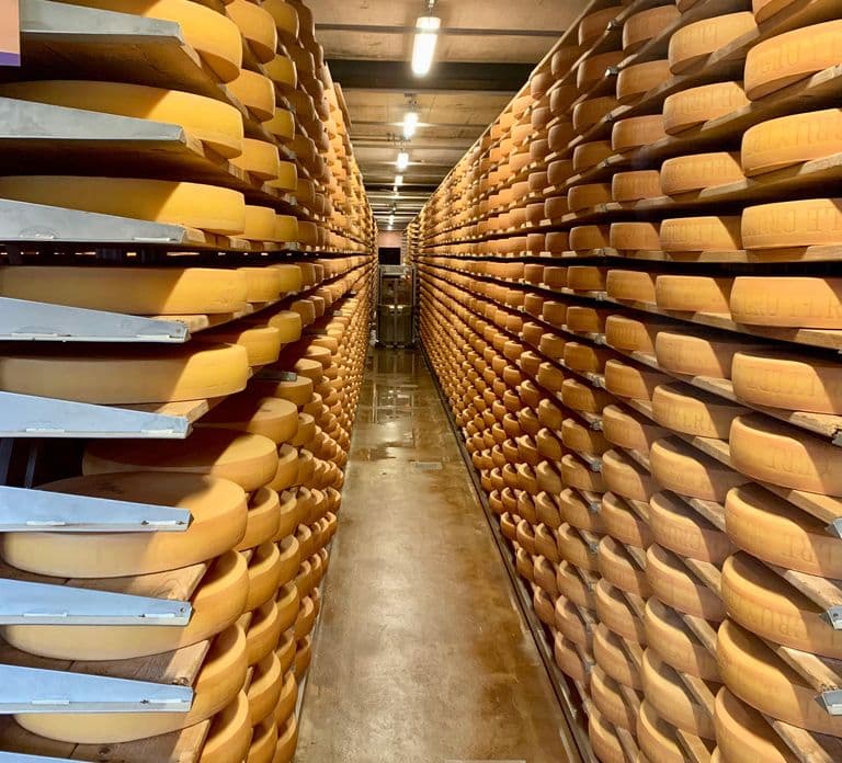 Gruyères & Lavaux Vineyard with Cheese & Wine | From Bern