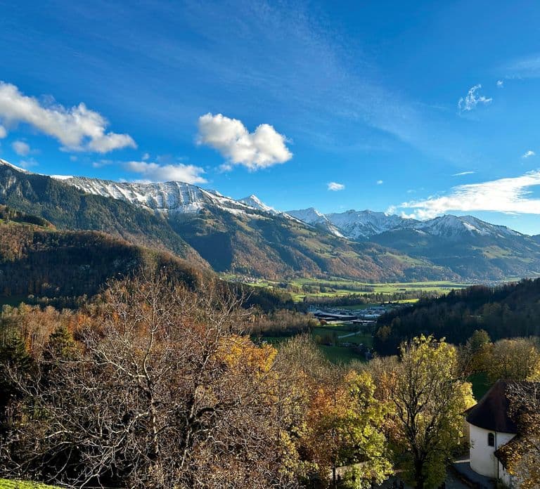 Gruyères & Lavaux Vineyard with Cheese & Wine | From Bern