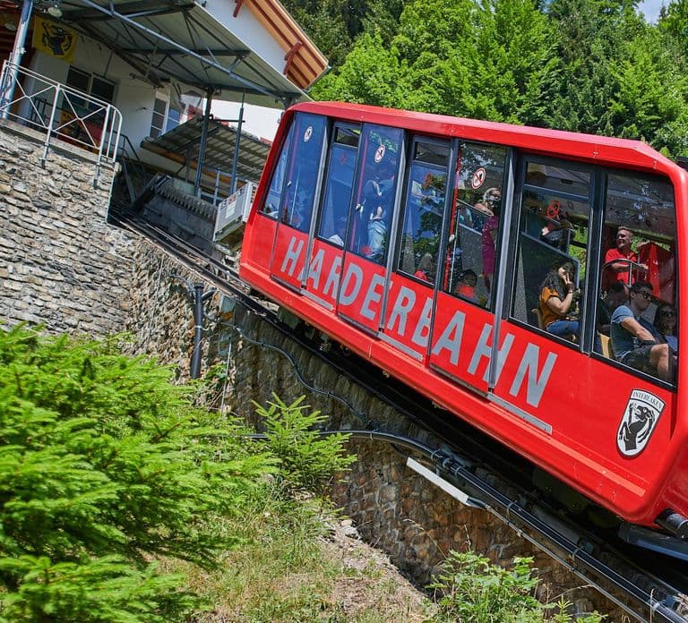 Harder Kulm and Grindelwald Private Day Trip