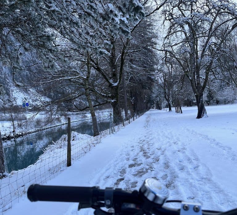 Tour en E-Bike de invierno en Interlaken: Ríos, lagos y bosques