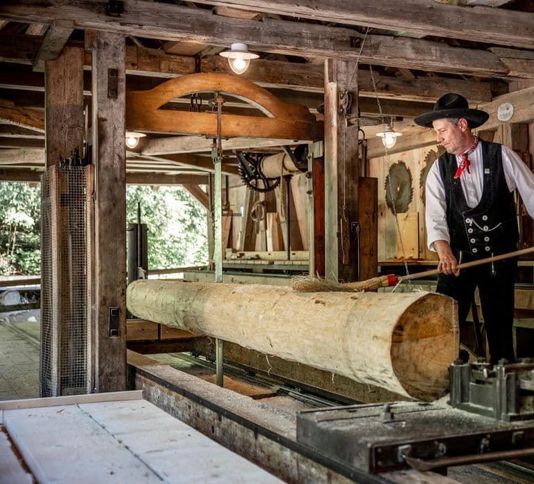 Interlaken: Ballenberg Open-Air Museum 입장권