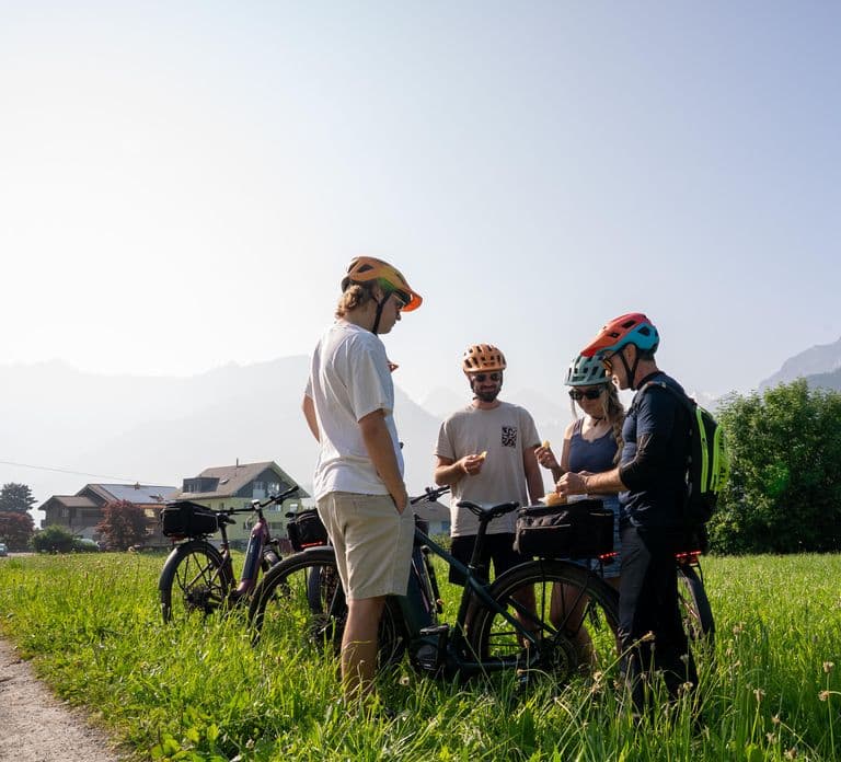 Interlaken: Scenic E-Bike Guided Tour