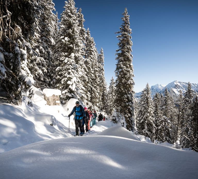 Interlaken: Winter Alpine Adventure - Snowshoe and Sledding