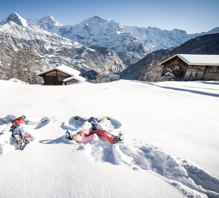 Interlaken: Winter Alpine Adventure - Snowshoe and Sledding