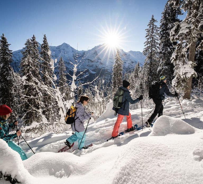 Interlaken: Aventura Alpina de Inverno - Raquetes de Neve e Trenó