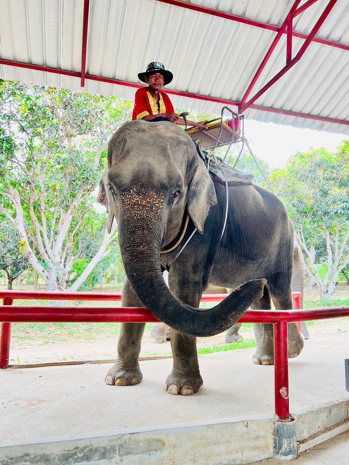 Tarzan Adventure Pattaya