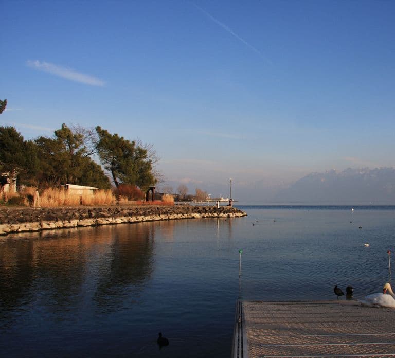 Lausanne, Montreux and Chillon: Private Trip from Geneva