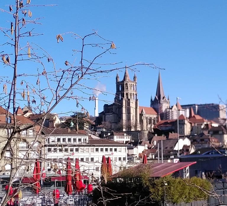 Lausanne: Cultural and Historical Guided Walking Tour