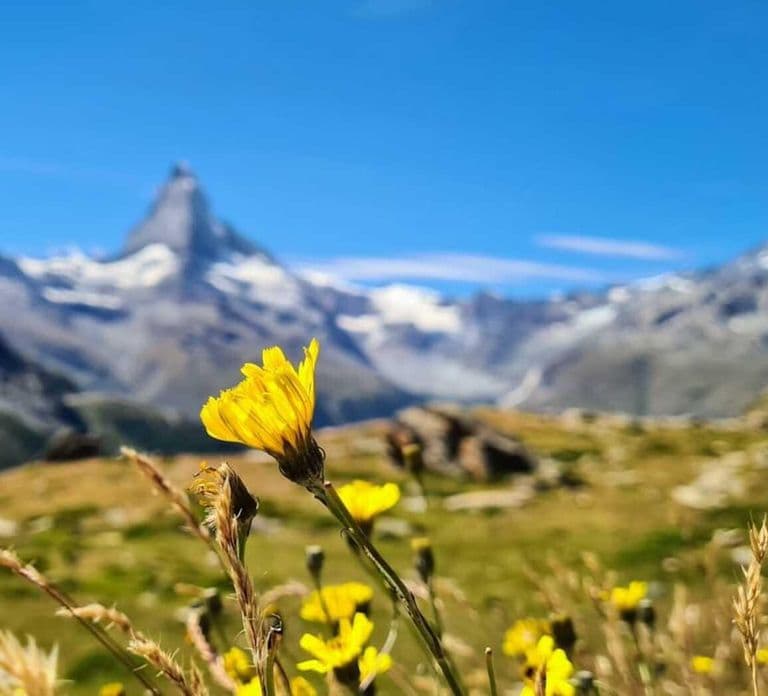 Lucerne to Zermatt: Private Tour with Transfer by Car