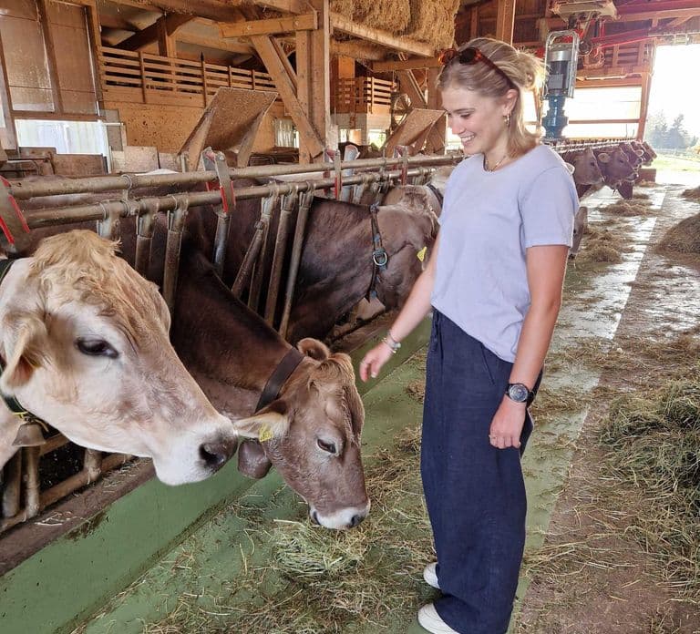 Lucerne : visite de ferme et dégustation de fromage