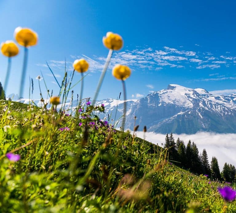 Lucerne : excursion d'une journée au mont Titlis avec trajet en téléphérique