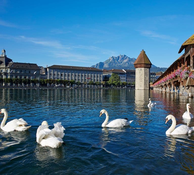 Lucerne : excursion d'une journée au mont Titlis avec trajet en téléphérique