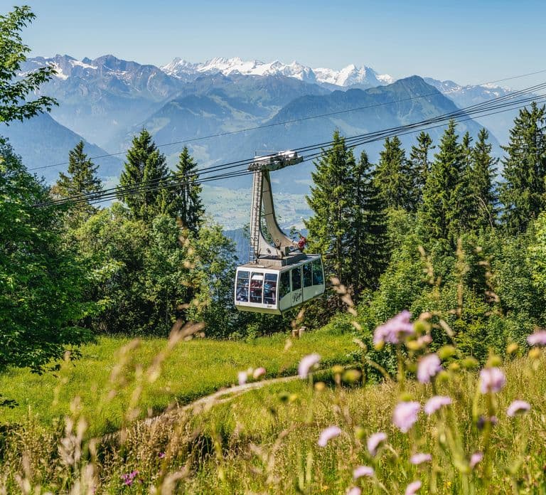 Lucerne: Mt Rigi Day Trip with Cruise, Cable Car, & Train