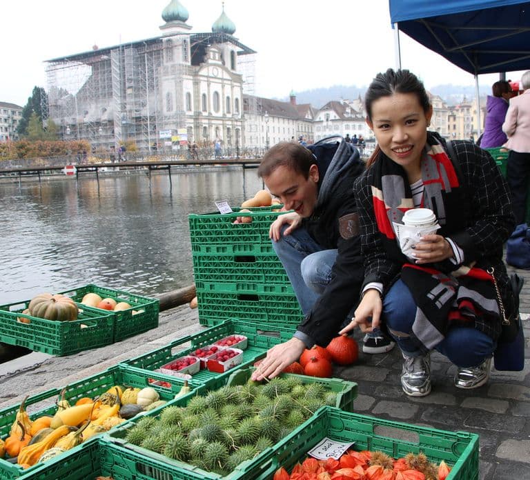Lucerne: Private Walking Tour with a Local Guide