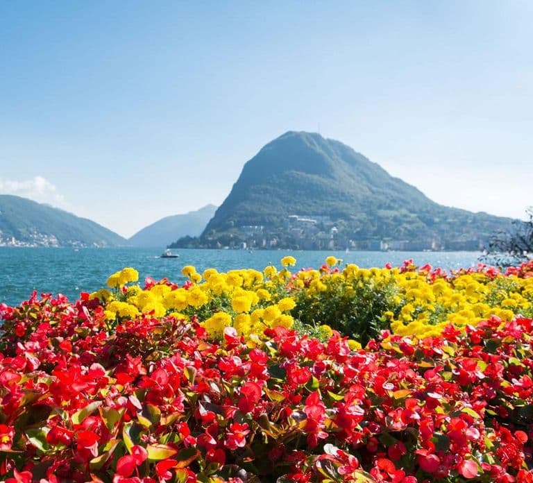 Lugano Highlights: Una aventura guiada a pie
