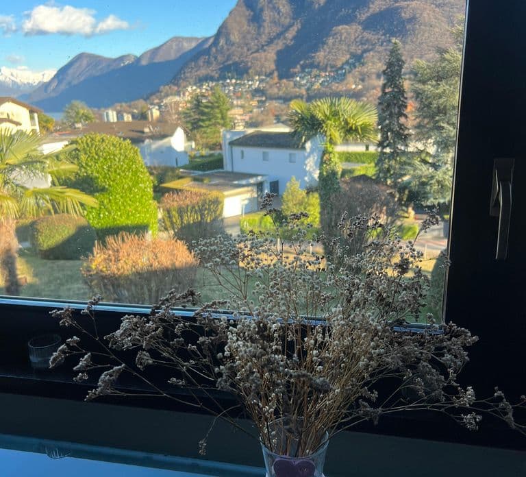 Lugano: Kulinarisches Erlebnis mit Wein bei Einheimischen zu Hause