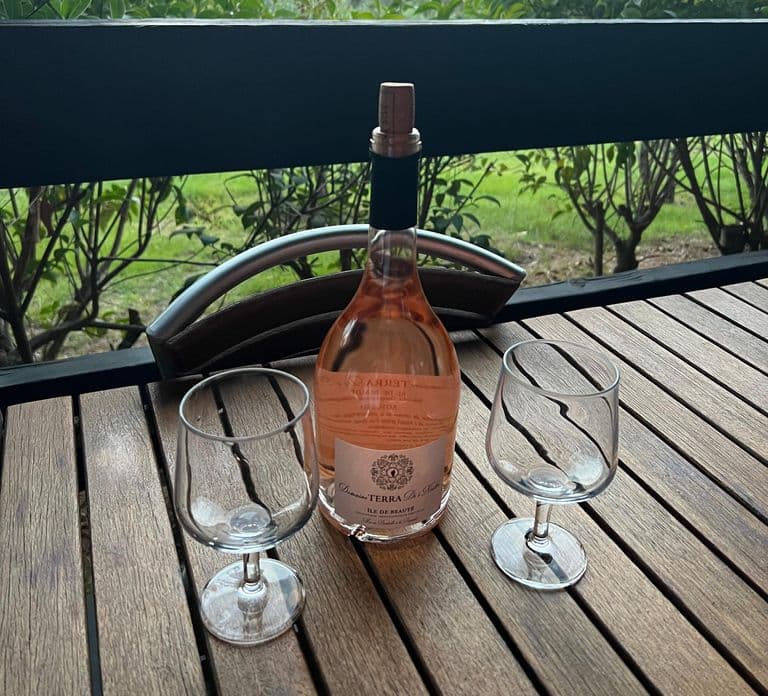 Lugano: Dining Experience with Wine at a Local's Home