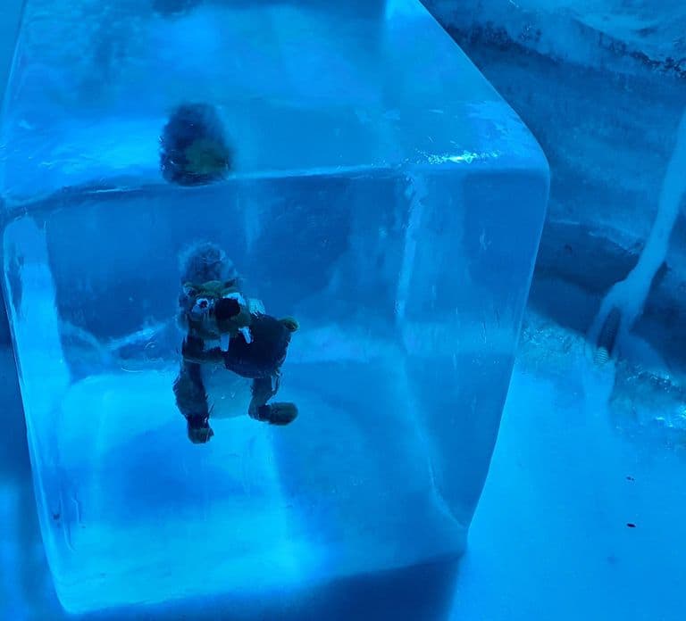 Mount Titlis Glacier World Private Day Trip from Basel