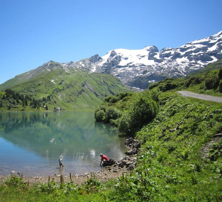 Mount Titlis: Admission Ticket
