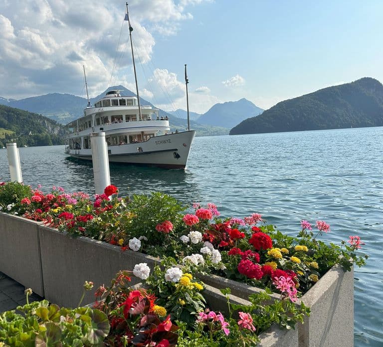 Mt. Pilatus, Mt. Rigi & Lake Lucerne 투어 | Lucerne 출발