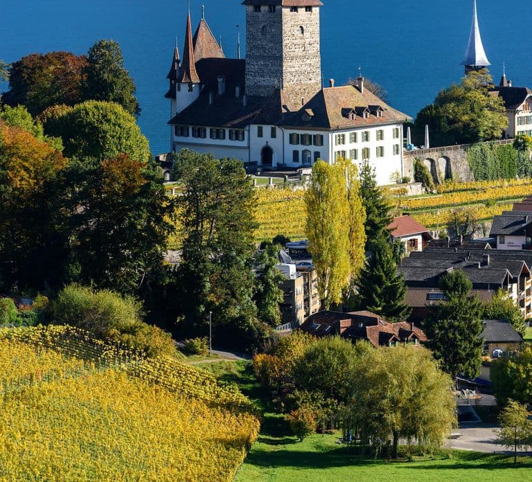 Private day trip from Interlaken to Thun, Spiez & the Lake