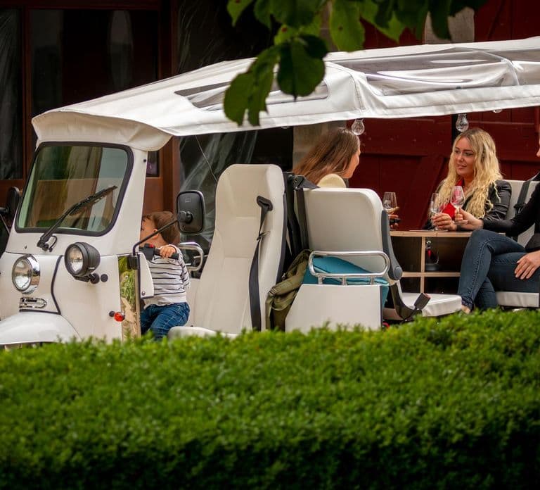 Private Highlights Top Places Tour Electric TukTuk 1h15