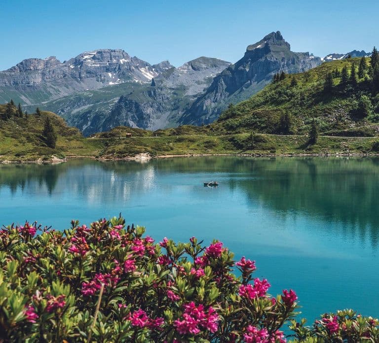 Prywatna wycieczka krajoznawcza z Lucerny na szczyt Mount Titlis