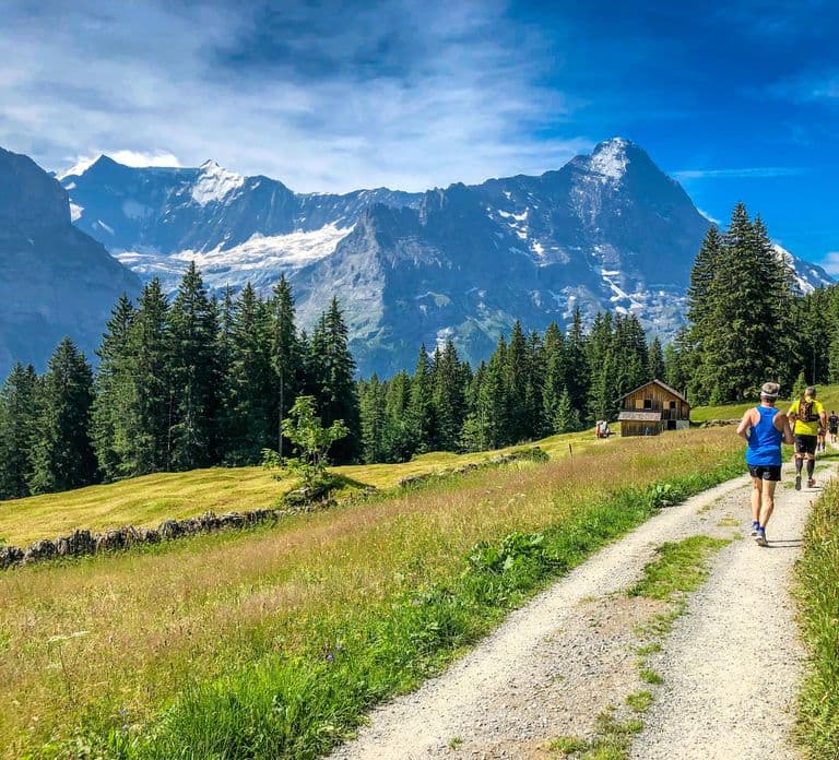Privétour van Zürich naar Grindelwald & Interlaken