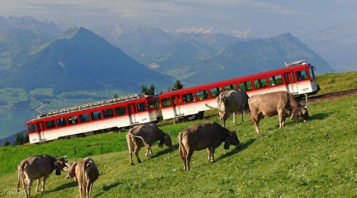 Rigi, Reine des Montagnes : excursion depuis Zurich