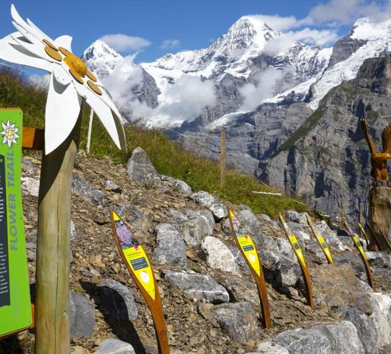 Excursão de um dia ao Schilthorn e Bond World 007 saindo de Genebra