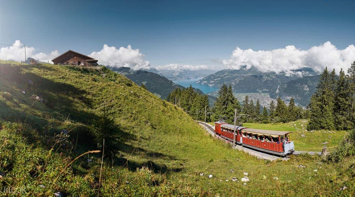 Schynige Platte Cogwheel Train Round-Trip Ticket from Wilderswil