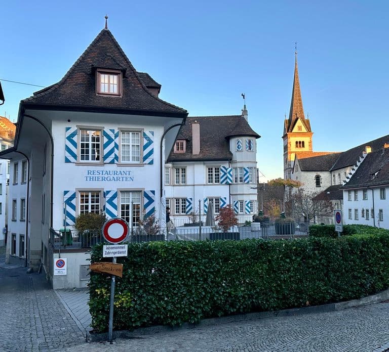 Stein Am Rhein, Schaffhausen & Rijn-cruise | Vanaf Basel