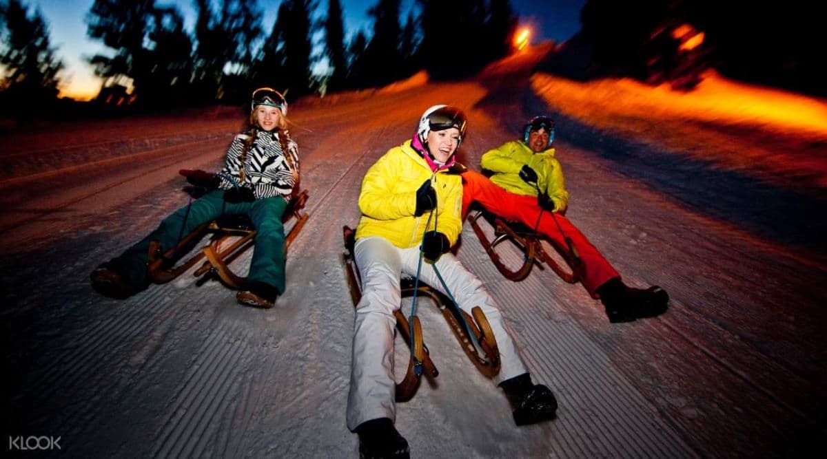 Sulwald Night Sledding Experience from Interlaken