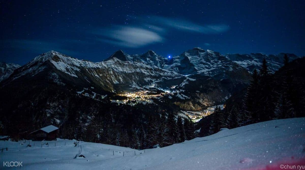 Sulwald Night Sledding Experience from Interlaken