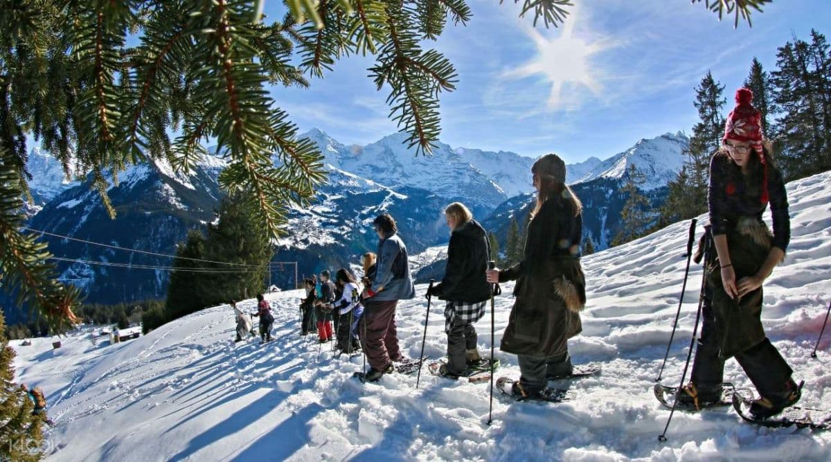 Experiência de Raquetes de Neve em Sulwald saindo de Interlaken