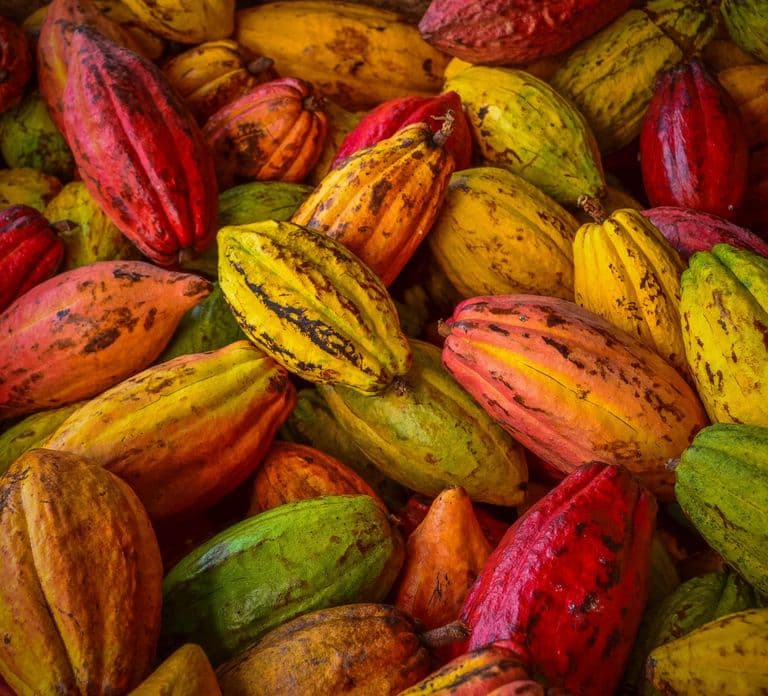 Swiss Chocolate Tasting Experience | Basel